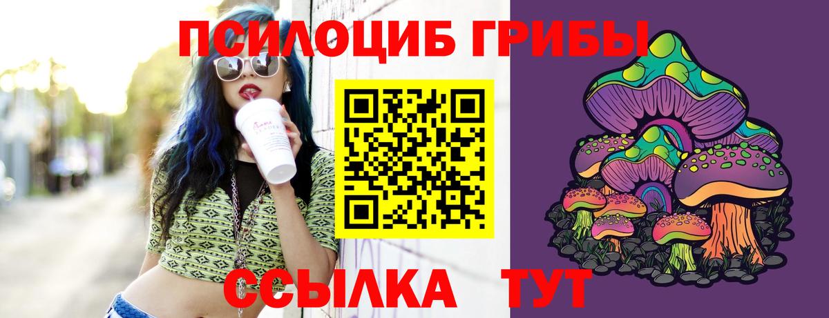 Дзержинск  Галлюциногенные грибы MAGIC MUSHROOMS  Вход с VPN  Псилоцибиновые грибы GOLDEN TEACHER 